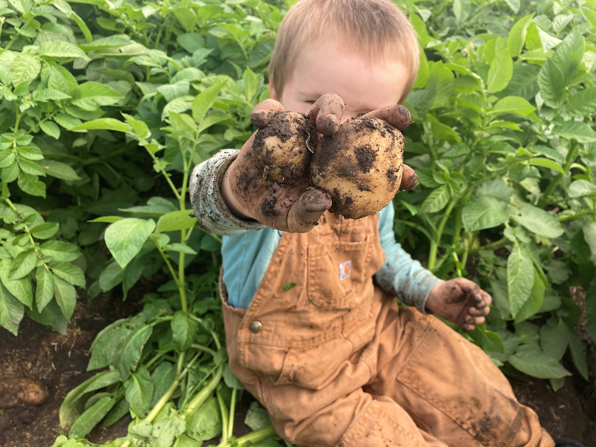 A little boy showing off tubers